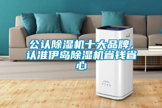 公認除濕機十大品牌，認準伊島除濕機省錢省心