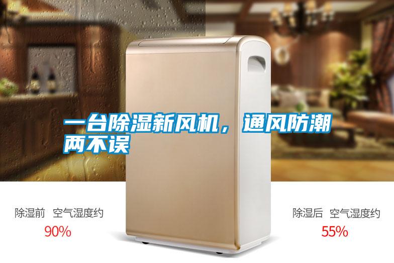 一臺除濕新風機，通風防潮兩不誤