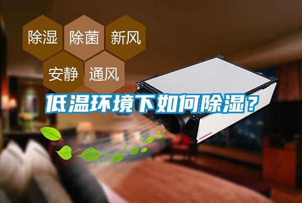 低溫環境下如何除濕?