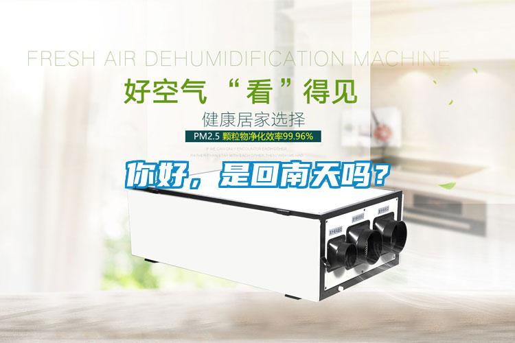 你好，是回南天嗎？