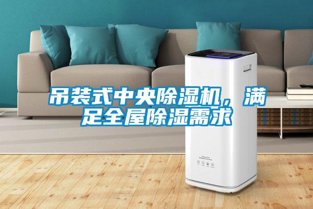 吊裝式中央除濕機(jī),滿足全屋除濕需求