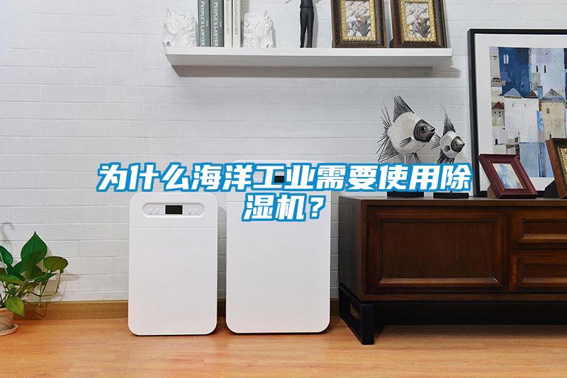 為什么海洋工業需要使用除濕機?