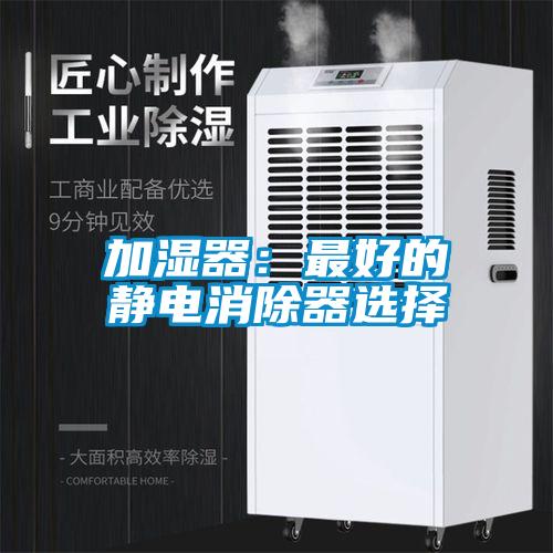 加濕器:最好的靜電消除器選擇