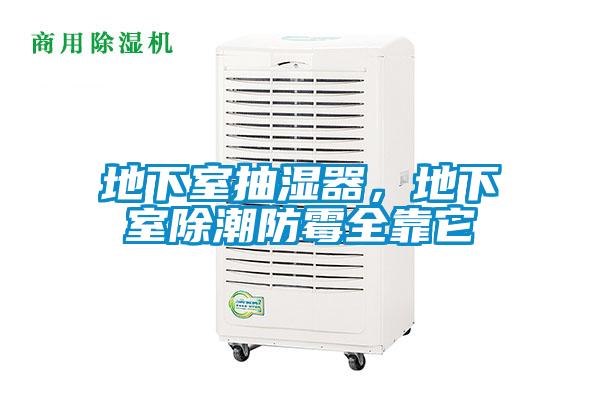 地下室抽濕器,地下室除潮防霉全靠它