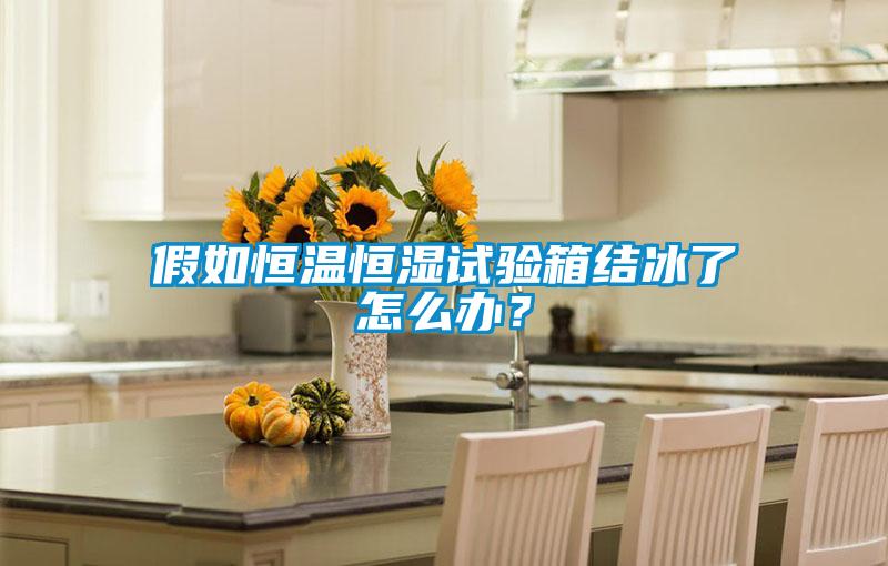 假如恒溫恒濕試驗箱結冰了怎么辦?