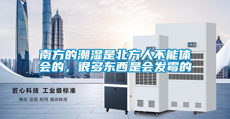 南方的潮濕是北方人不能體會的，很多東西是會發(fā)霉的