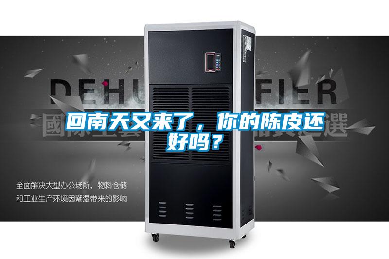 回南天又來了，你的陳皮還好嗎？