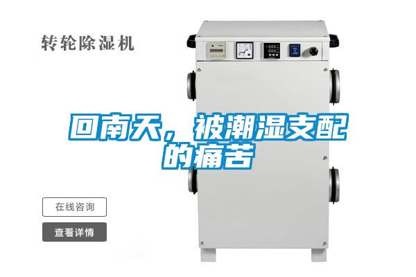 回南天，被潮濕支配的痛苦