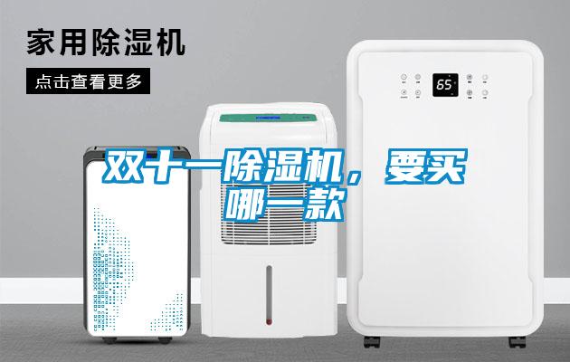 雙十一除濕機(jī),要買哪一款
