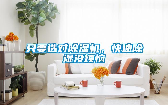 只要選對除濕機，快速除濕沒煩惱