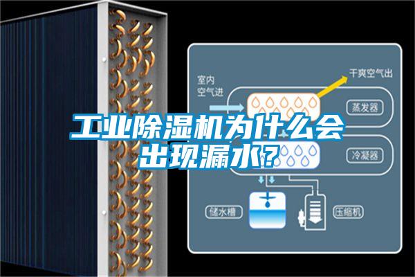 工業除濕機為什么會出現漏水？