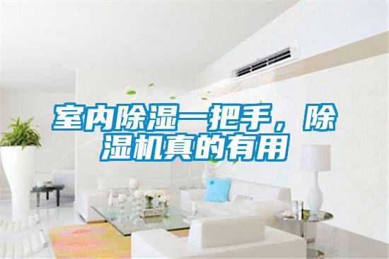 室內(nèi)除濕一把手，除濕機真的有用
