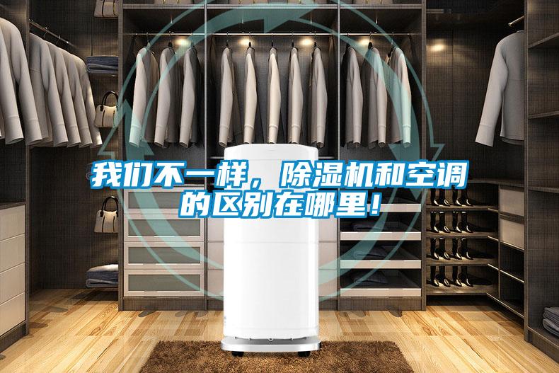 我們不一樣，除濕機和空調的區別在哪里！