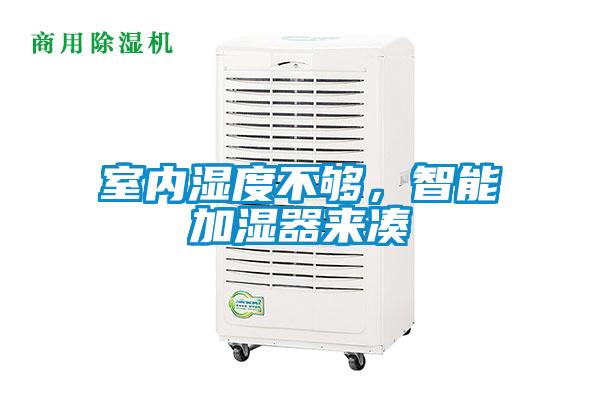 室內濕度不夠，智能加濕器來湊