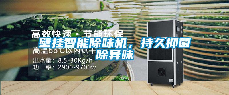 壁掛智能除味機(jī),持久抑菌除異味
