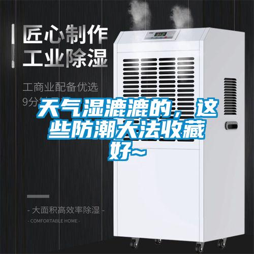 天氣濕漉漉的,這些防潮大法收藏好~