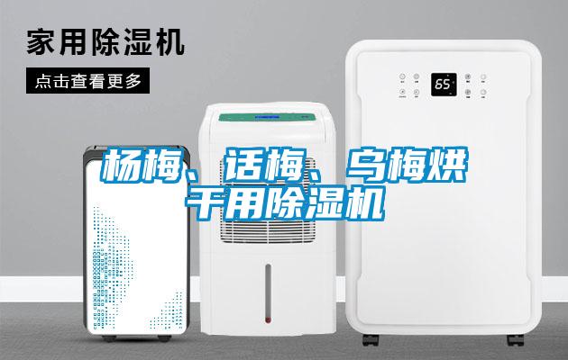 楊梅、話梅、烏梅烘干用除濕機