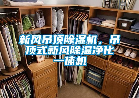 新風吊頂除濕機，吊頂式新風除濕凈化一體機