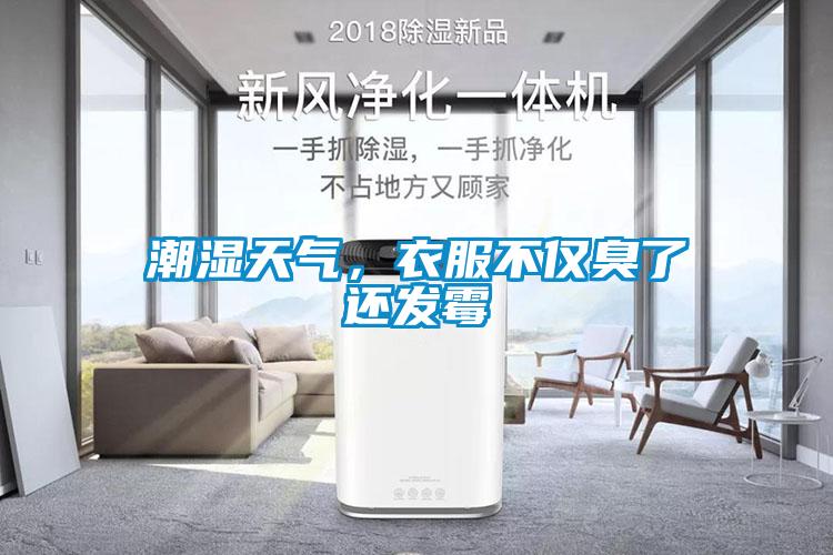 潮濕天氣,衣服不僅臭了還發(fā)霉