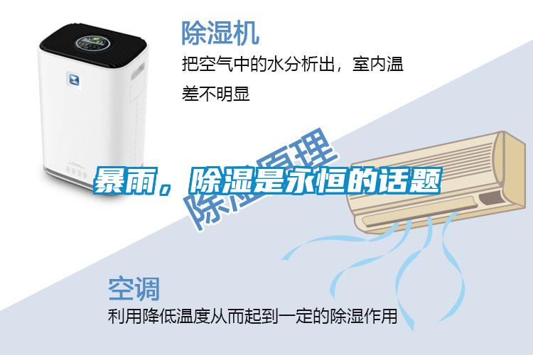 暴雨，除濕是永恒的話題