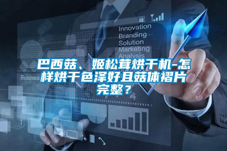 巴西菇、姬松茸烘干機-怎樣烘干色澤好且菇體褶片完整？