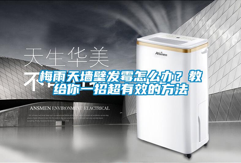 梅雨天墻壁發霉怎么辦?教給你一招超有效的方法