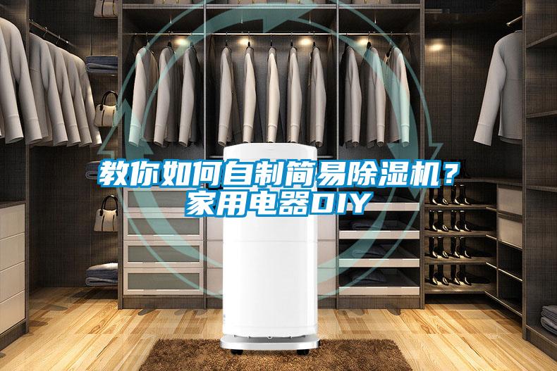 教你如何自制簡易除濕機(jī)？家用電器DIY