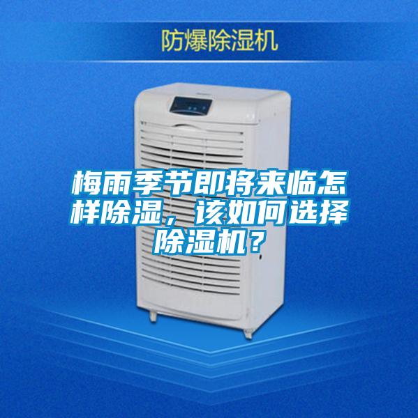 梅雨季節即將來臨怎樣除濕,該如何選擇除濕機?