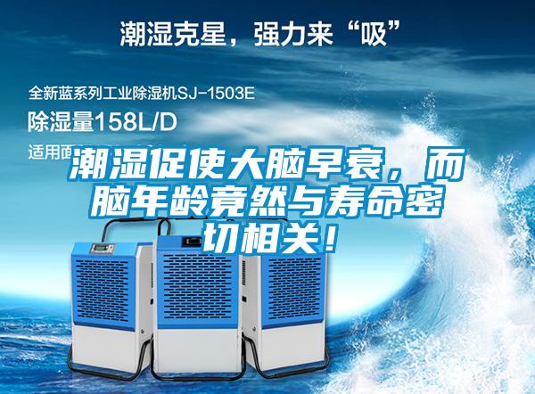 潮濕促使大腦早衰，而腦年齡竟然與壽命密切相關(guān)！