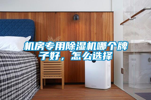 機(jī)房專用除濕機(jī)哪個牌子好，怎么選擇