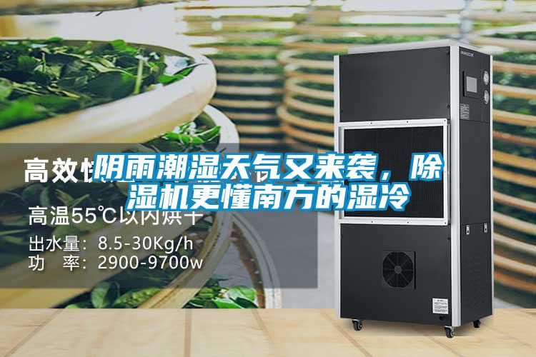 陰雨潮濕天氣又來襲，除濕機更懂南方的濕冷