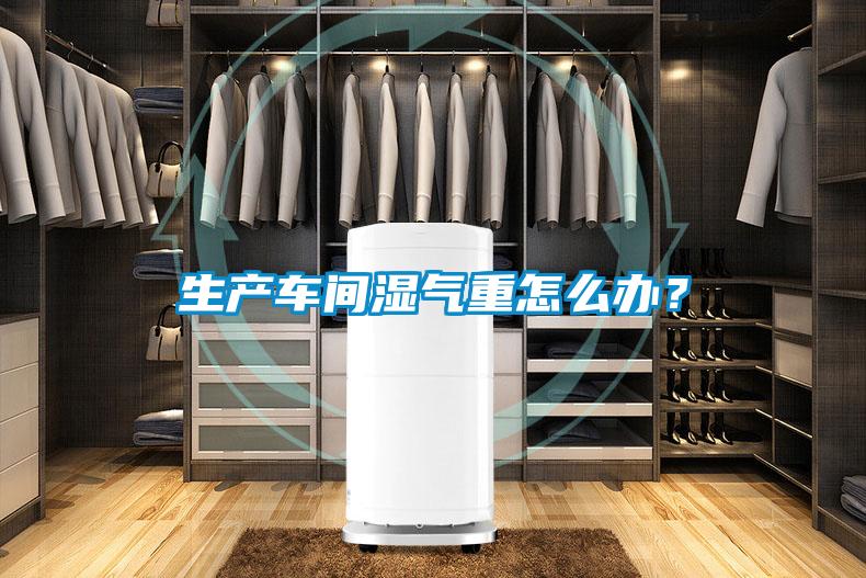 生產車間濕氣重怎么辦?