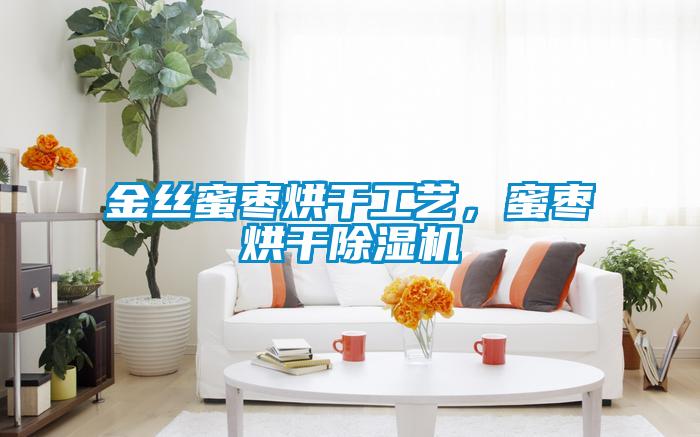 金絲蜜棗烘干工藝,蜜棗烘干除濕機