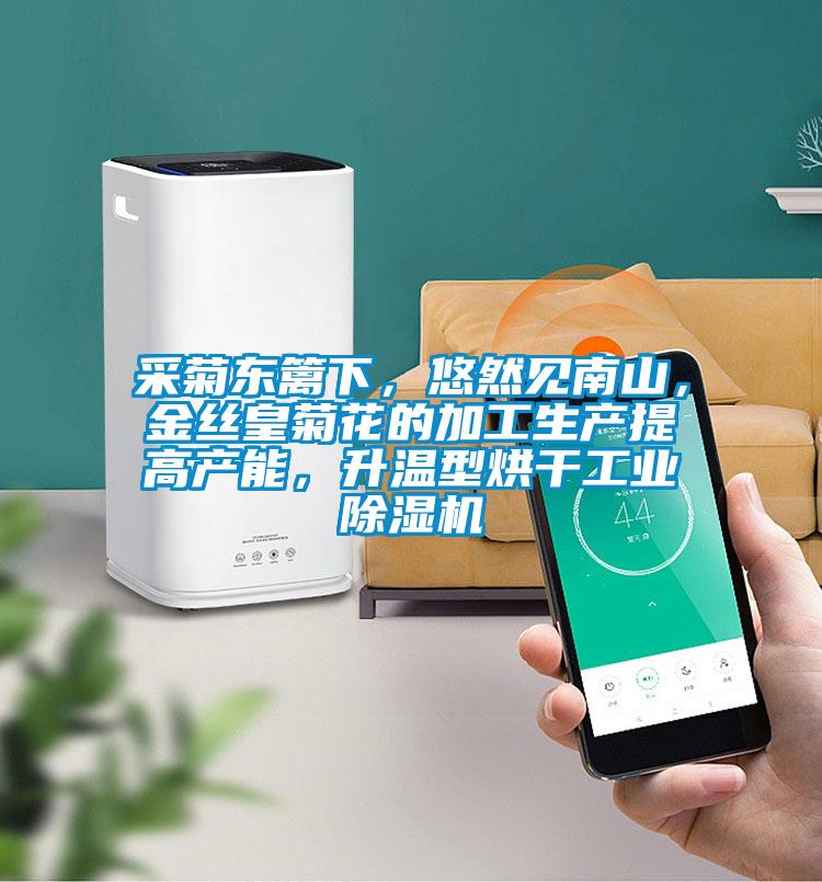 采菊東籬下，悠然見(jiàn)南山，金絲皇菊花的加工生產(chǎn)提高產(chǎn)能，升溫型烘干工業(yè)除濕機(jī)