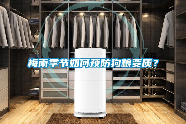 梅雨季節(jié)如何預(yù)防狗糧變質(zhì)?