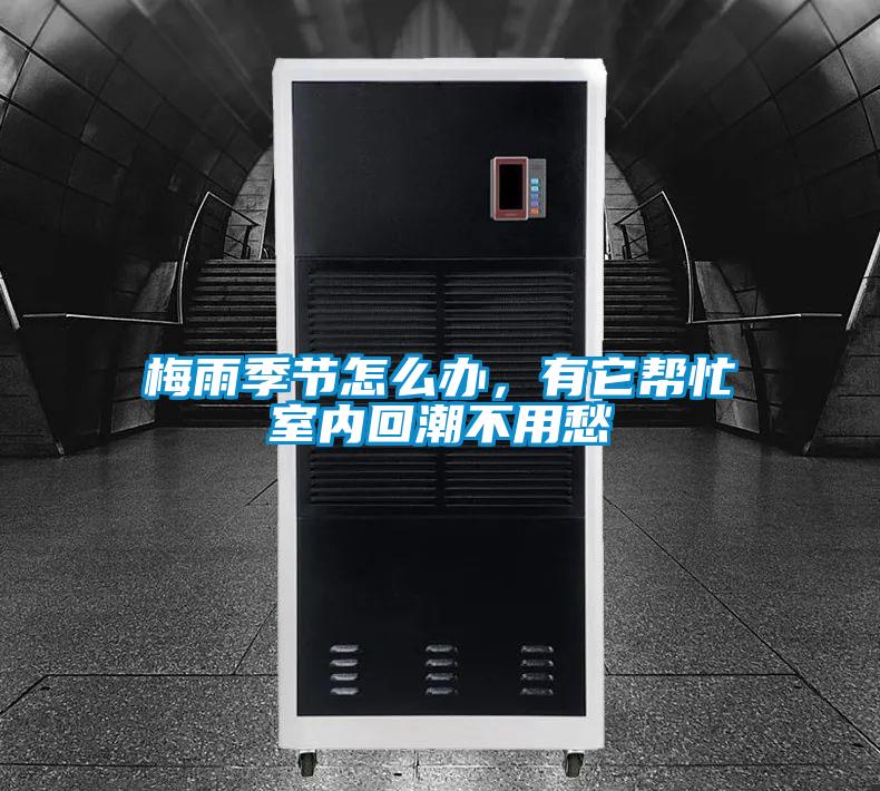 梅雨季節怎么辦，有它幫忙室內回潮不用愁