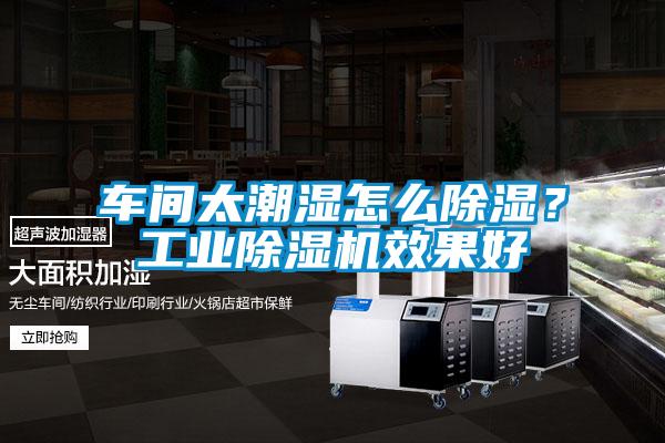 車間太潮濕怎么除濕?工業除濕機效果好