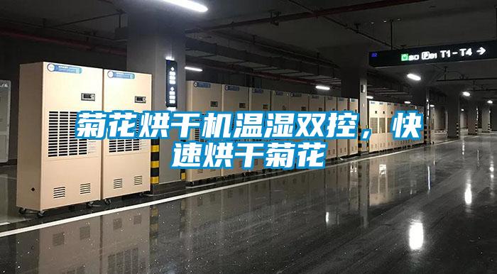 菊花烘干機溫濕雙控，快速烘干菊花