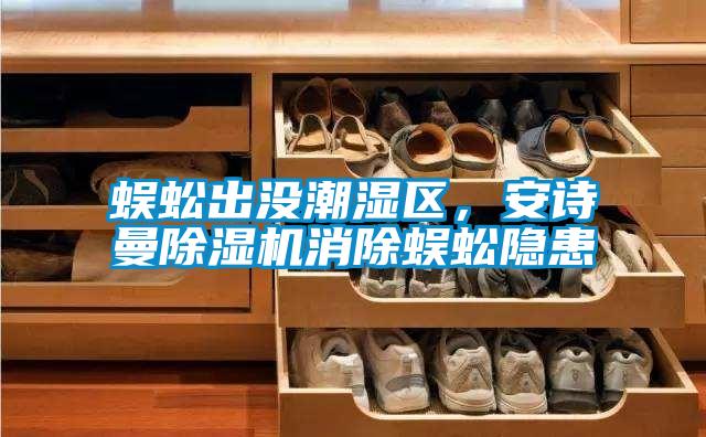 蜈蚣出沒潮濕區，安詩曼除濕機消除蜈蚣隱患