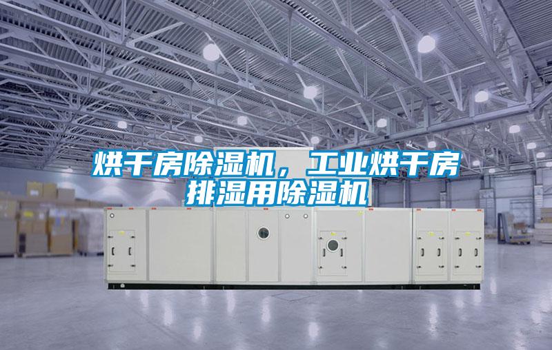 烘干房除濕機(jī),工業(yè)烘干房排濕用除濕機(jī)