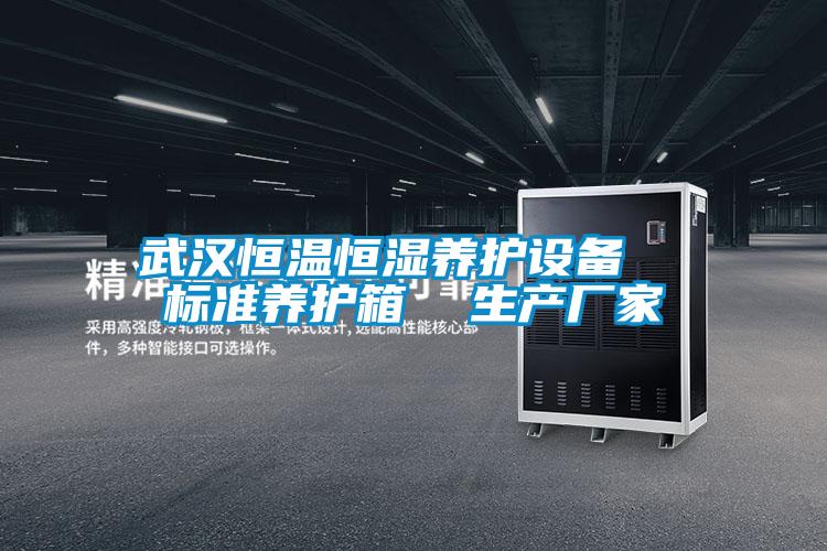 武漢恒溫恒濕養(yǎng)護設(shè)備  標(biāo)準(zhǔn)養(yǎng)護箱  生產(chǎn)廠家