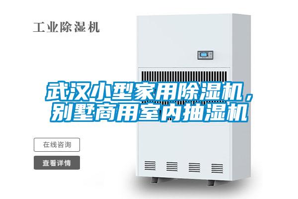 武漢小型家用除濕機,別墅商用室內抽濕機