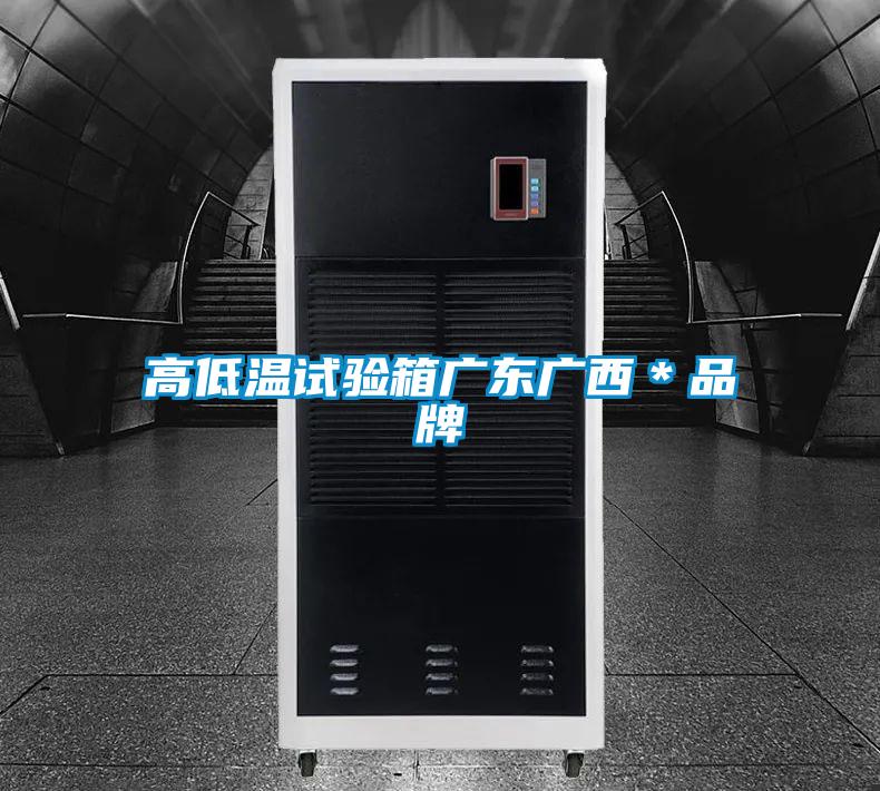 高低溫試驗箱廣東廣西*品牌