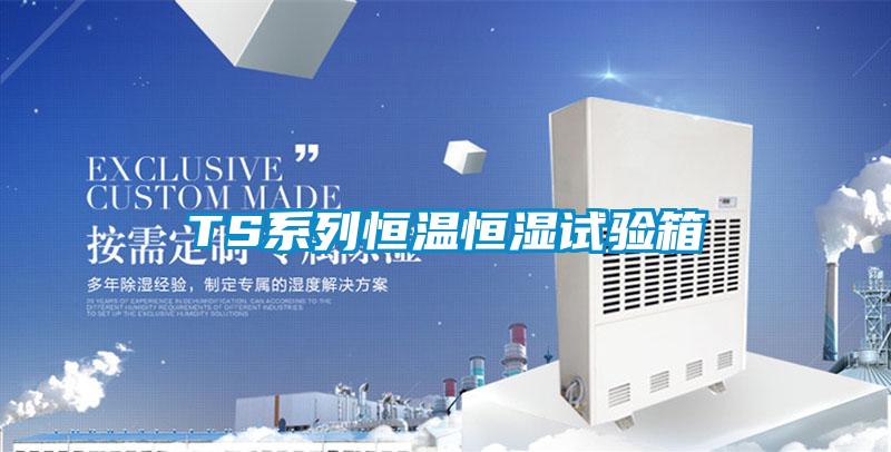 TS系列恒溫恒濕試驗(yàn)箱