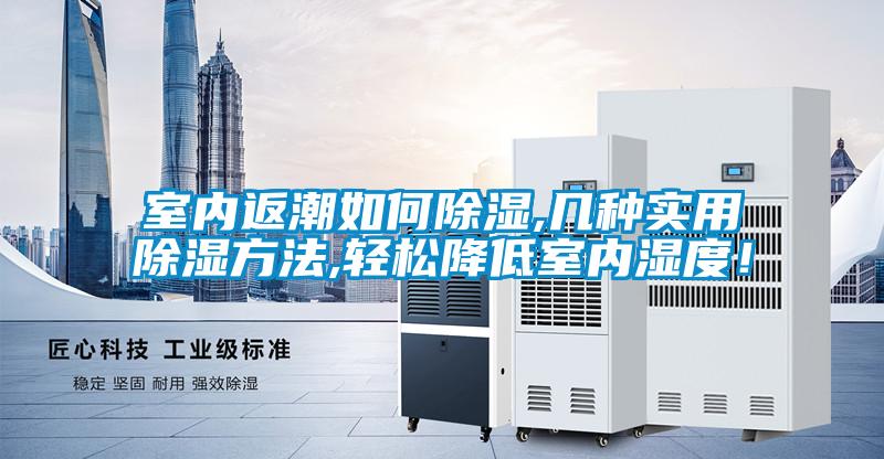 室內(nèi)返潮如何除濕,幾種實(shí)用除濕方法,輕松降低室內(nèi)濕度！