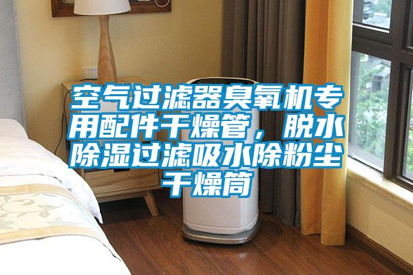 空氣過濾器臭氧機(jī)專用配件干燥管,脫水除濕過濾吸水除粉塵干燥筒