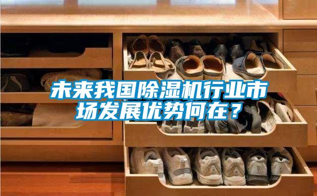 未來我國除濕機行業(yè)市場發(fā)展優(yōu)勢何在?