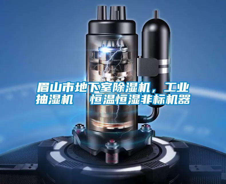 眉山市地下室除濕機(jī)，工業(yè)抽濕機(jī)  恒溫恒濕非標(biāo)機(jī)器