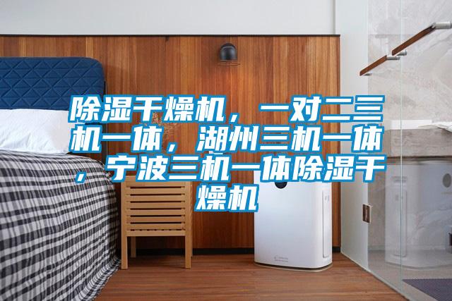 除濕干燥機,一對二三機一體,湖州三機一體,寧波三機一體除濕干燥機