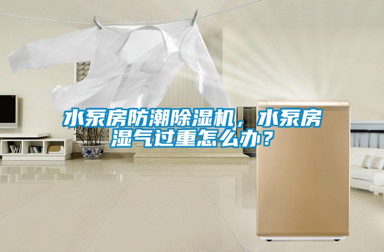 水泵房防潮除濕機,水泵房濕氣過重怎么辦?